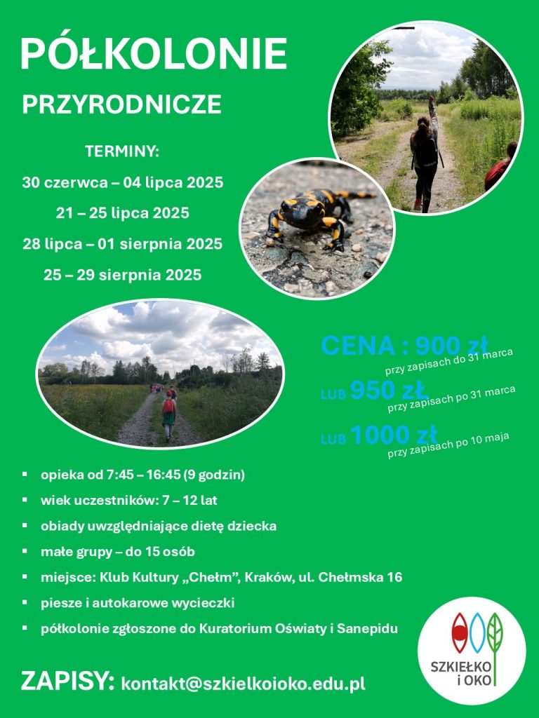 Obrazek przedstawia las i leśne dróżki.