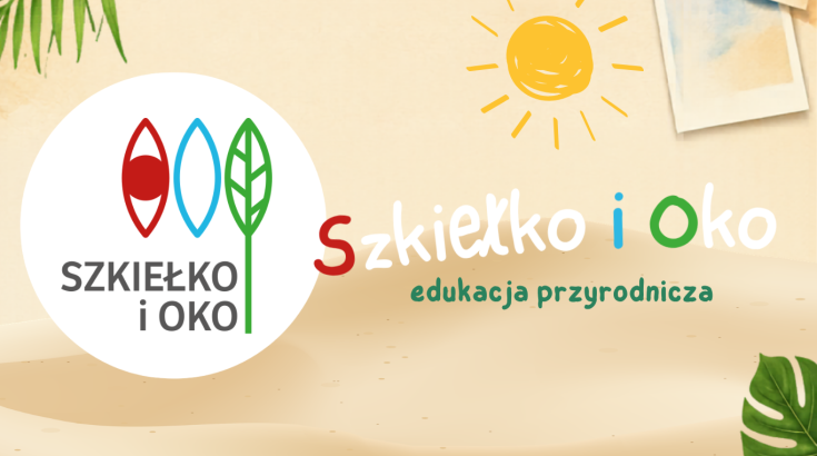 Obrazek przedstawia logo firmy 